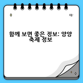 함께 보면 좋은 정보: 양양 축제 정보