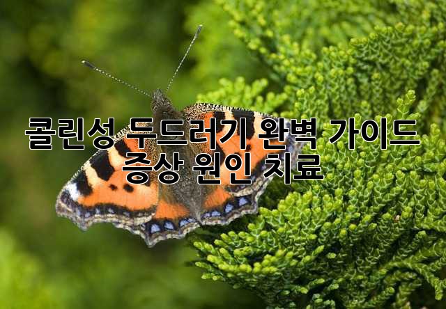 콜린성 두드러기 완벽 가이드: 증상, 원인, 치료