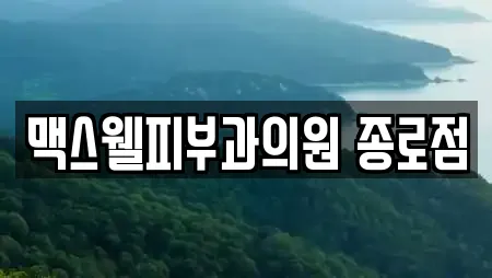 맥스웰피부과의원 종로점