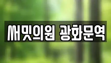 써밋의원 광화문역