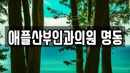 애플산부인과의원 명동