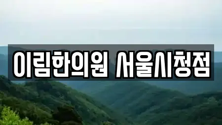 서울 종로구 송현동 추천 한의원,산부인과,피부과,에스테틱,산후조리원 위치