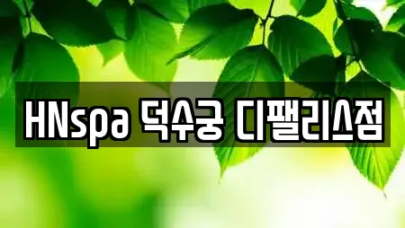 HNspa 덕수궁 디팰리스점