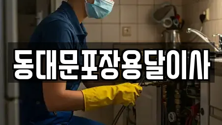 동대문포장용달이사