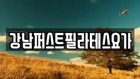 강남퍼스트필라테스요가