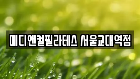 메디앤컬필라테스 서울교대역점