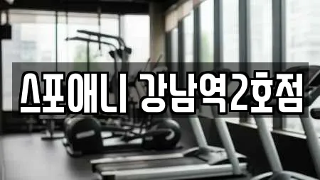 스포애니 강남역2호점