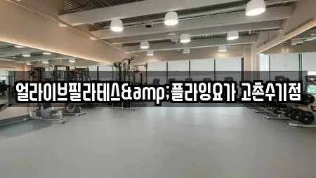 얼라이브필라테스&플라잉요가 고촌수기점