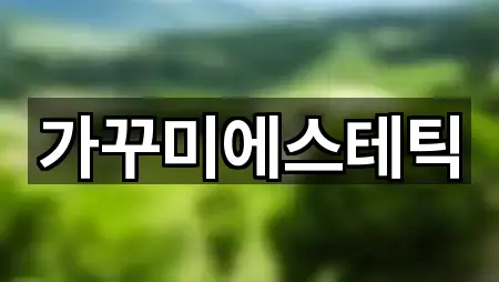 전북특별자치도 전주 덕진구 호성동2가 에스테틱 간편 조회 5곳