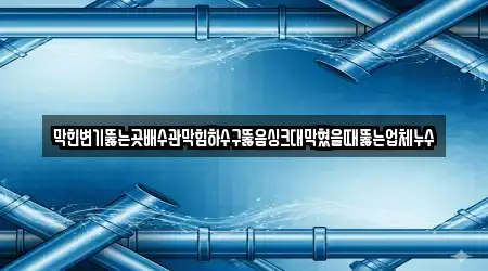 막힌변기뚫는곳배수관막힘하수구뚫음싱크대막혔을때뚫는업체누수