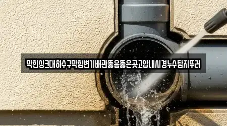 막힌싱크대하수구막힘변기배관뚫음뚫은곳고압내시경누수탐지뚜러
