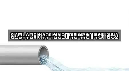 원스탑누수탐지하수구막힘싱크대막힘역류변기막힘배관청소