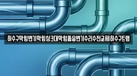 하수구막힘변기막힘싱크대막힘뚫음변기수리수전교체하수구트랩