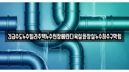 긴급수도누수빌라주택누수천장베란다욕실화장실누수하수구막힘