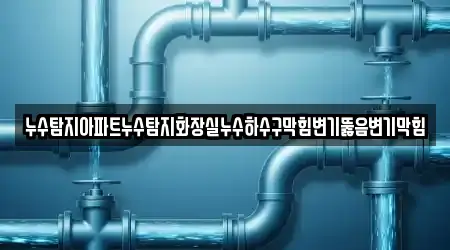 누수탐지아파트누수탐지화장실누수하수구막힘변기뚫음변기막힘