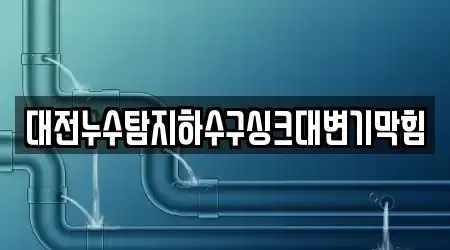 대전누수탐지하수구싱크대변기막힘