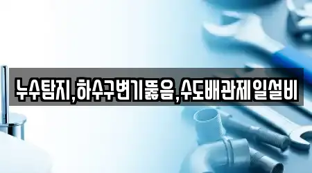누수탐지,하수구변기뚫음,수도배관제일설비