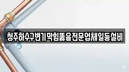 청주하수구변기막힘뚫음전문업체일등설비