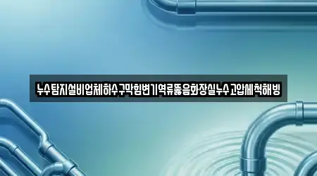 누수탐지설비업체하수구막힘변기역류뚫음화장실누수고압세척해빙