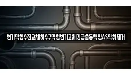 변기막힘수전교체하수구막힘변기교체긴급출동책임AS악취제거