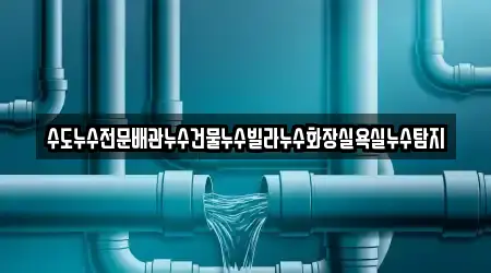 수도누수전문배관누수건물누수빌라누수화장실욕실누수탐지