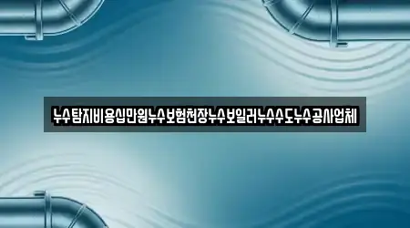 누수탐지비용십만원누수보험천장누수보일러누수수도누수공사업체