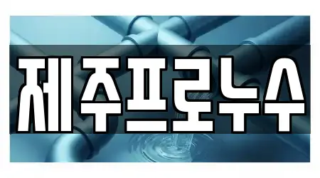 제주프로누수