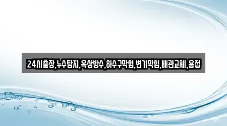 24시출장,누수탐지,옥상방수,하수구막힘,변기막힘,배관교체,용접