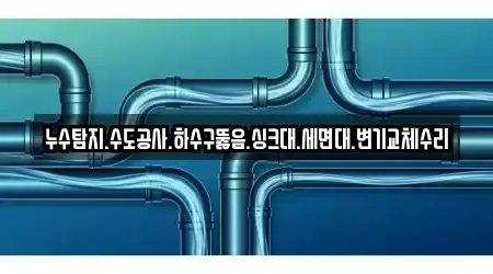 누수탐지.수도공사.하수구뚫음.싱크대.세면대.변기교체수리