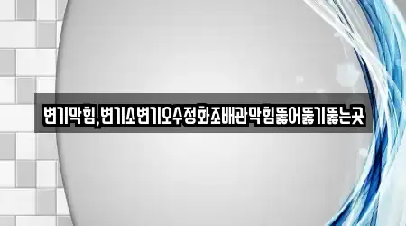변기막힘,변기소변기오수정화조배관막힘뚫어뚫기뚫는곳