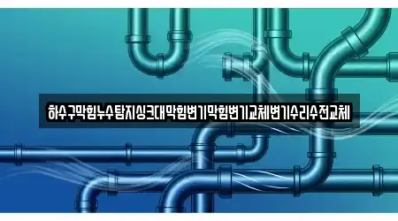 하수구막힘누수탐지싱크대막힘변기막힘변기교체변기수리수전교체