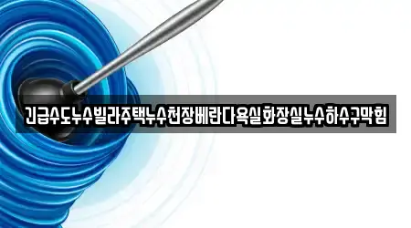긴급수도누수빌라주택누수천장베란다욕실화장실누수하수구막힘