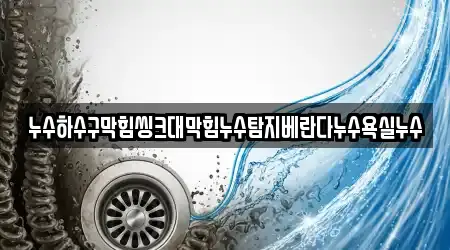 누수하수구막힘씽크대막힘누수탐지베란다누수욕실누수