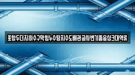 포항두더지하수구막힘누수탐지수도배관공사변기뚫음싱크대역류
