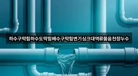 하수구막힘하수도막힘배수구막힘변기싱크대역류뚫음천장누수