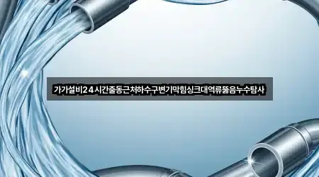 가가설비24시간출동근처하수구변기막힘싱크대역류뚫음누수탐사