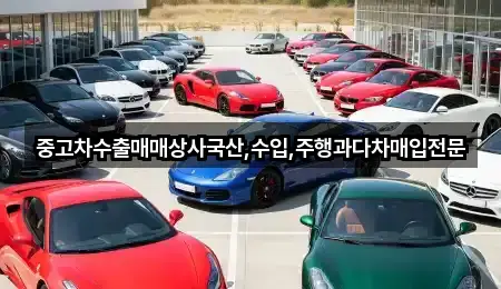 5곳 전북특별자치도 군산 성산면 중고차 연락처 확인