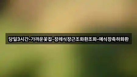 당일3시간-가까운꽃집-장례식장근조화환조화-예식장축하화환