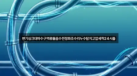 변기싱크대하수구역류뚫음수전정화조수리누수탐지고압세척24시출