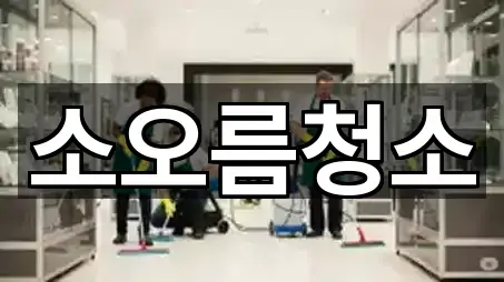 소오름청소