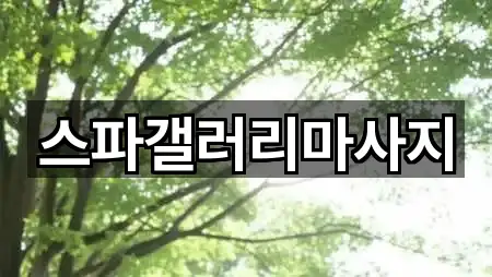 스파갤러리마사지