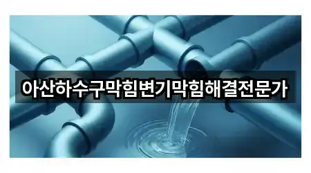아산하수구막힘변기막힘해결전문가
