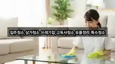 초보자 가이드: 전라남도 나주시 용산동 입주청소 4곳