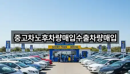 용인시 보라동 중고차 바로 연락 5곳