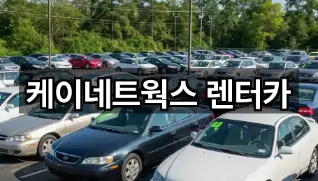 케이네트웍스 렌터카