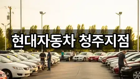 요약 브리프: 대성동 자동차전시장 1곳