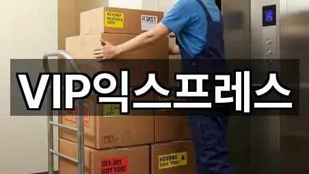 VIP익스프레스