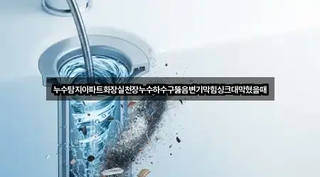 누수탐지아파트화장실천장누수하수구뚫음변기막힘싱크대막혔을때