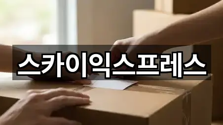 스카이익스프레스