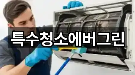 특수청소에버그린